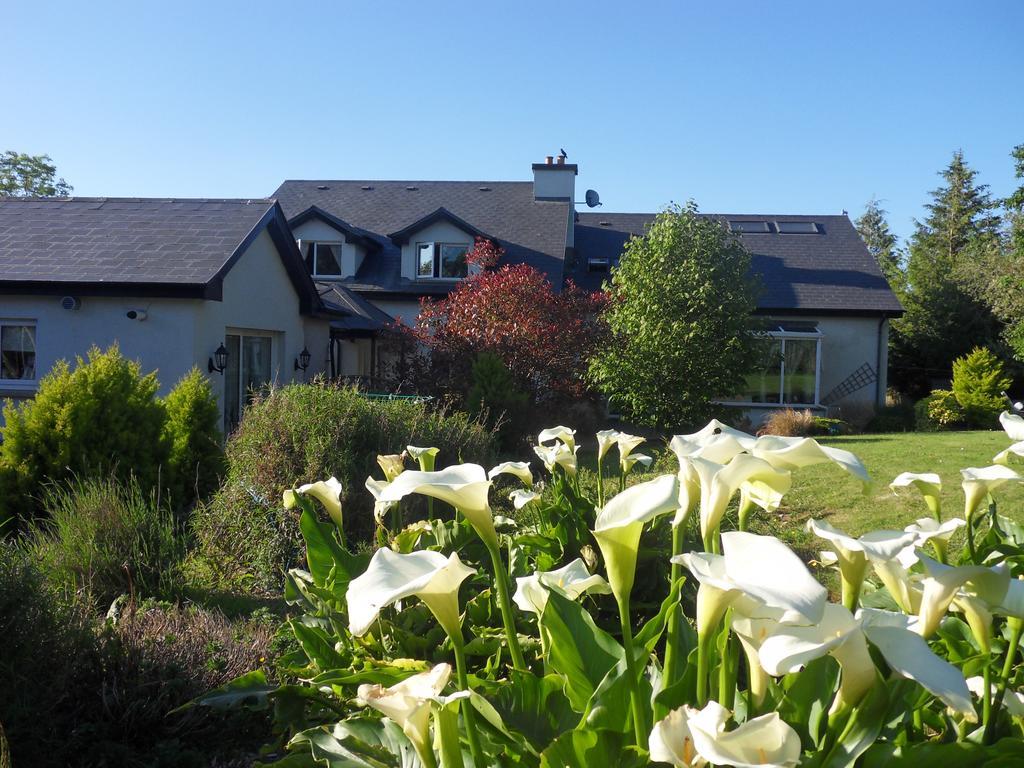 Ethan House Holiday Suites Killarney Buitenkant foto
